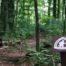 Yellow Mountain Road Trailhead