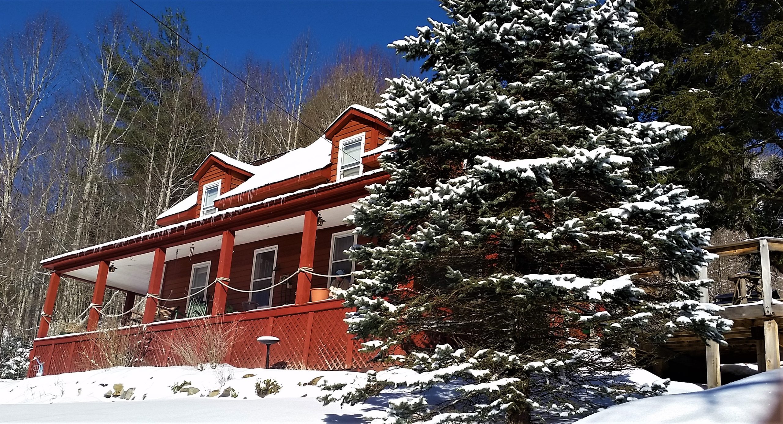 Cozy mountain house surrounded by snow and evergreen trees in winter.