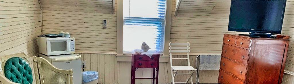 Cozy mountain cabin interior with vintage furniture, TV, and natural light scenery.