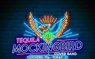 Tequila Mockingbird Live at Mountain Harbour