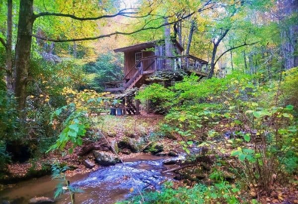 Mountain Harbour Treehouse